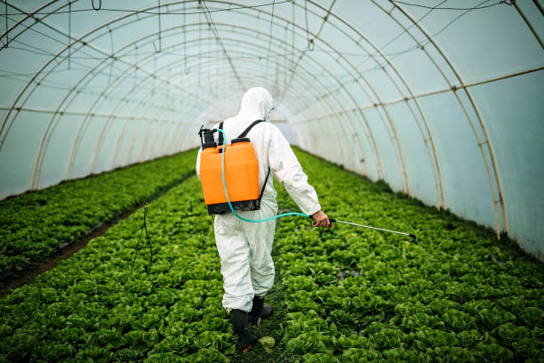 Professional Pest Control in Carnation, WA