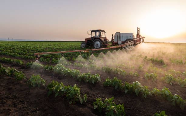 Insect Control in Carnation, WA