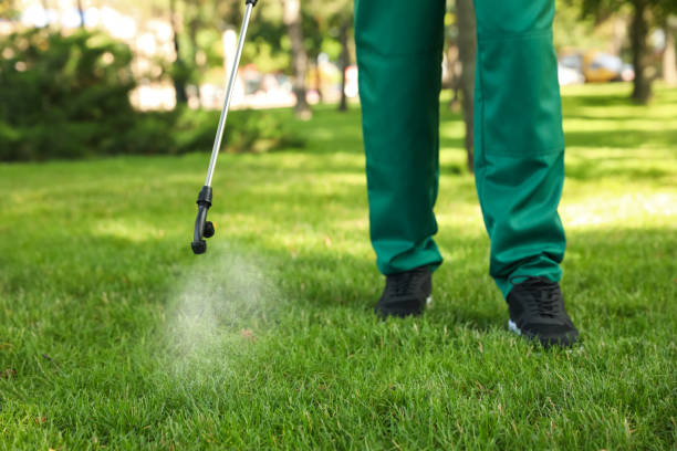 Professional Pest Control in Carnation, WA