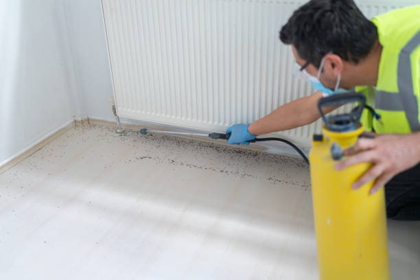 Best Affordable Pest Control Services  in Carnation, WA