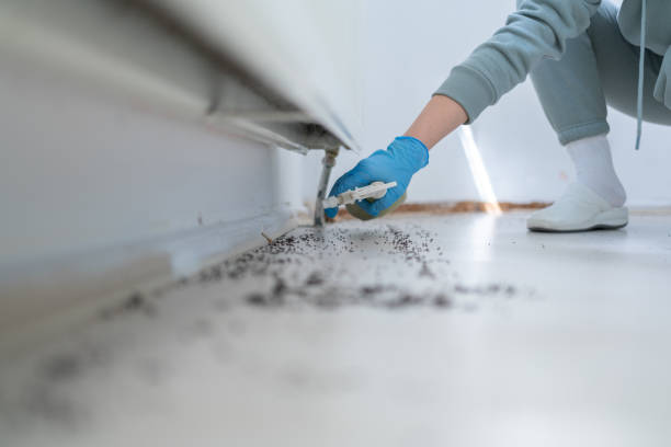 Best Wasp Removal Services  in Carnation, WA