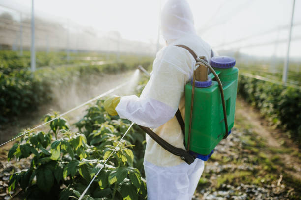 Best Bed Bug Extermination  in Carnation, WA